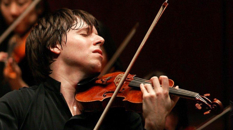 The Return of the Violin